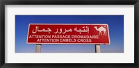 Framed Low angle view of a camel crossing signboard, Douz, Tunisia