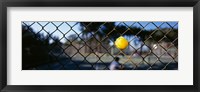 Framed Close-up of a tennis ball stuck in a fence, San Francisco, California, USA