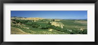 Framed Carneros District, Napa Valley, Napa County, California