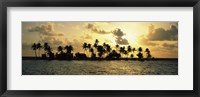 Framed Silhouette of palm trees on an island at sunset, Laughing Bird Caye, Victoria Channel, Belize