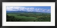 Framed High angle view of sugar cane fields, Cienfuegos, Cienfuegos Province, Cuba