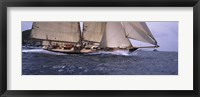 Framed Sailboat in the sea, Schooner, Antigua, Antigua and Barbuda