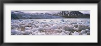 Framed Ice floes in the sea with a glacier in the background, Norway