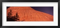 Framed Shadow of trees on a rock formation, Checkerboard Mesa, Zion National Park, Utah, USA