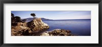 Framed Cypress tree at the coast, The Lone Cypress, 17 mile Drive, Carmel, California