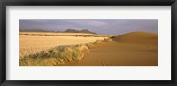 Framed Animal tracks on the sand dunes towards the open grasslands, Namibia