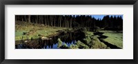 Framed River flowing through a forest, East Dart River, Dartmoor, Devon, England