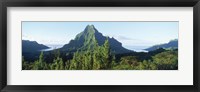 Framed Mountains at a coast, Belvedere Point, Mont Mouaroa, Opunohu Bay, Moorea, Tahiti, French Polynesia