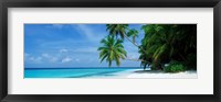 Framed Palm trees on the beach, Fihalhohi Island, Maldives