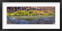 Framed Virgin River at Big Bend, Zion National Park, Springdale, Utah, USA