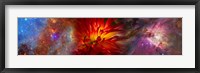 Framed Hubble galaxy with red chrysanthemums