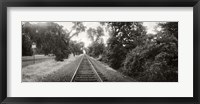 Framed Railroad track, Napa Valley, California, USA