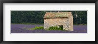 Framed Stone building in a lavender field, Provence-Alpes-Cote D'Azur, France