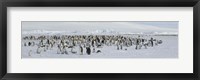 Framed Emperor penguins (Aptenodytes forsteri) colony at snow covered landscape, Snow Hill Island, Antarctica