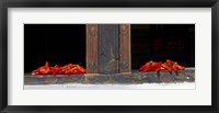 Framed Red chilies drying on window sill, Paro, Bhutan