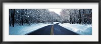 Framed Metro Park Road OH USA