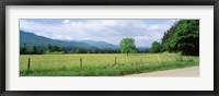 Framed Road Along A Grass Field, Cades Cove, Great Smoky Mountains National Park, Tennessee, USA