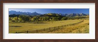 Framed Trees in a field, Colorado, USA