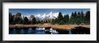 Framed Moose & Beaver Pond Grand Teton National Park WY USA