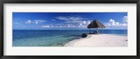 Framed Bora Bora Point Bora Bora