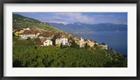 Framed Village Rivaz between Vineyards & Mts. Lake Geneva Switzerland