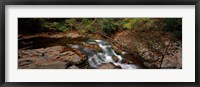 Framed White Water The Great Smoky Mountains TN USA