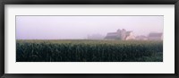 Framed Barn in a field, Illinois, USA