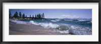 Framed Trees along a lake, Lake Tahoe, Nevada, USA