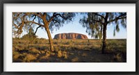 Framed Ayers Rock Australia