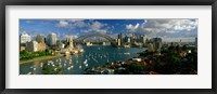 Framed Harbor And City And Bridge, Sydney, Australia