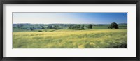 Framed Field Near Barnstaple, North Devon, England, United Kingdom