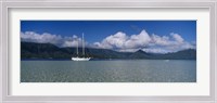 Framed Sailboat in a bay, Kaneohe Bay, Oahu, Hawaii, USA