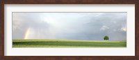 Framed Rainbow and storm clouds over a field, Zurich Canton, Switzerland