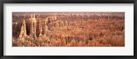 Framed Aerial View Of The Grand Canyon, Bryce Canyon National Park, Utah, USA