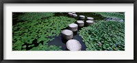 Framed Water Lilies In A Pond, Helan Shrine, Kyoto, Japan