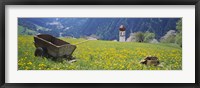 Framed Wheelbarrow in a field, Austria