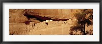 Framed Tree in front of the ruins of cliff dwellings, White House Ruins, Canyon de Chelly National Monument, Arizona, USA