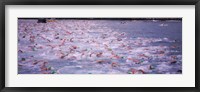 Framed Triathlon athletes swimming in water in a race, Ironman, Kailua Kona, Hawaii, USA