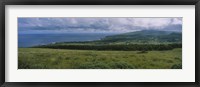 Framed High angle view of trees on a landscape, Easter Island, Chile