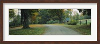 Framed Trees at a Roadside, Vermont