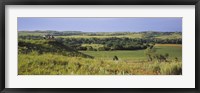 Framed Three mountain bikers on a hill, Kansas, USA