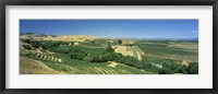 Framed Carneros District, Napa Valley, Napa County, California