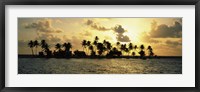 Framed Silhouette of palm trees on an island at sunset, Laughing Bird Caye, Victoria Channel, Belize