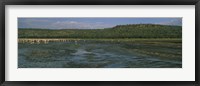 Framed Flock of flamingos in a lake, Lake Nakuru, Great Rift Valley, Lake Nakuru National Park, Kenya