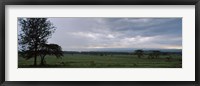 Framed Lake Nakuru National Park, Great Rift Valley, Kenya