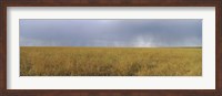 Framed Clouds over a meadow, Masai Mara National Reserve, Great Rift Valley, Kenya