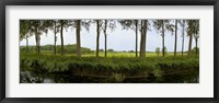 Framed Channel passing through a landscape from Brugge to Damme, Belgium