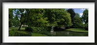 Framed Trees in a park, Queen Astrid Park, Bruges, West Flanders, Belgium