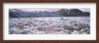 Framed Ice floes in the sea with a glacier in the background, Norway