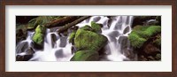 Framed Cascading waterfall in a rainforest, Olympic National Park, Washington State, USA